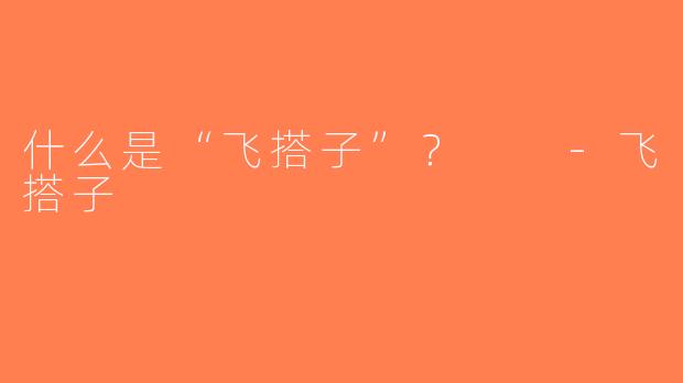 什么是“飞搭子”？  -飞搭子