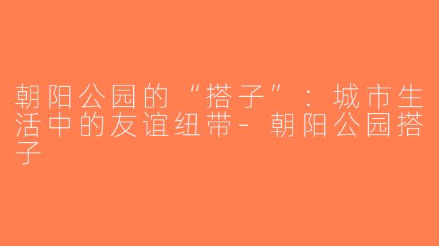 朝阳公园的“搭子”：城市生活中的友谊纽带-朝阳公园搭子