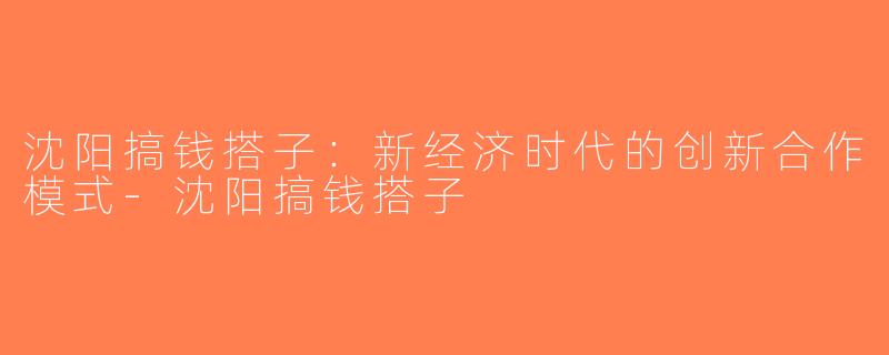 沈阳搞钱搭子：新经济时代的创新合作模式-沈阳搞钱搭子