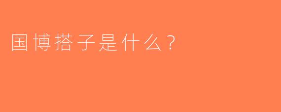 国博搭子是什么？