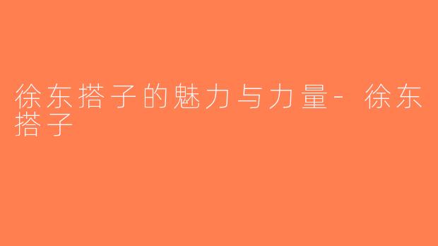 徐东搭子的魅力与力量-徐东搭子