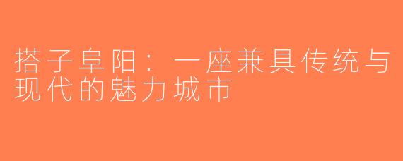 搭子阜阳：一座兼具传统与现代的魅力城市