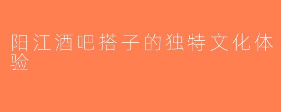 阳江酒吧搭子的独特文化体验