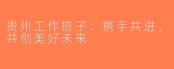 贵州工作搭子：携手共进，共创美好未来