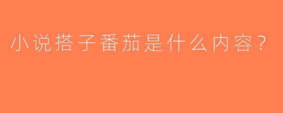 小说搭子番茄是什么内容？