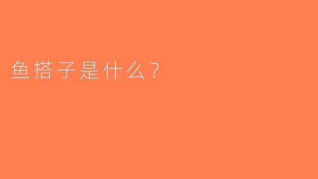 鱼搭子是什么？