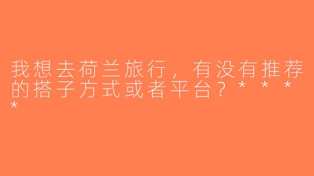 我想去荷兰旅行，有没有推荐的搭子方式或者平台？****