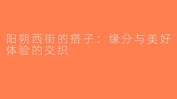 阳朔西街的搭子：缘分与美好体验的交织