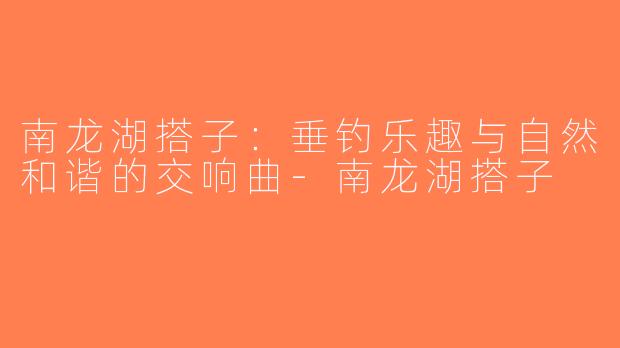 南龙湖搭子：垂钓乐趣与自然和谐的交响曲-南龙湖搭子