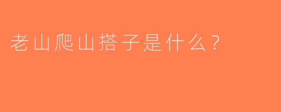 老山爬山搭子是什么？