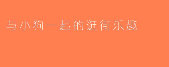 与小狗一起的逛街乐趣