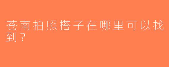 苍南拍照搭子在哪里可以找到？  