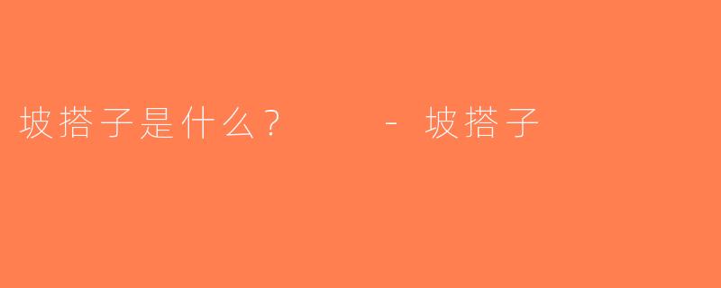 坡搭子是什么？  -坡搭子