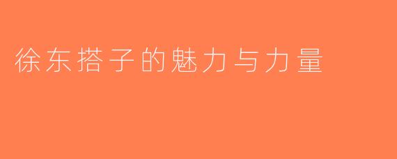 徐东搭子的魅力与力量