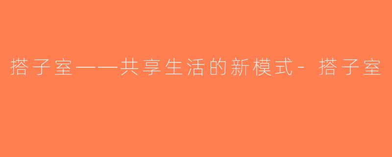 搭子室——共享生活的新模式-搭子室