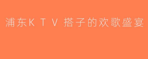 浦东KTV搭子的欢歌盛宴