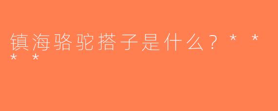 镇海骆驼搭子是什么？****