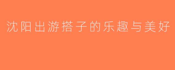 沈阳出游搭子的乐趣与美好