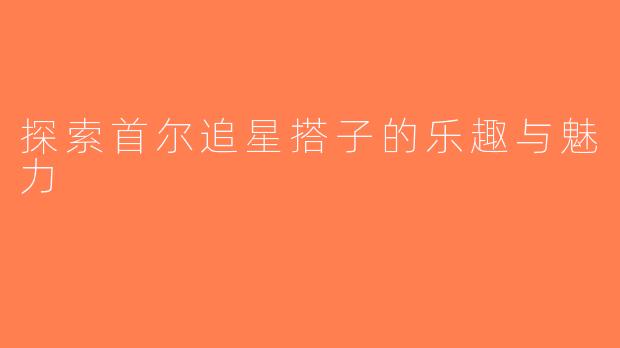 探索首尔追星搭子的乐趣与魅力