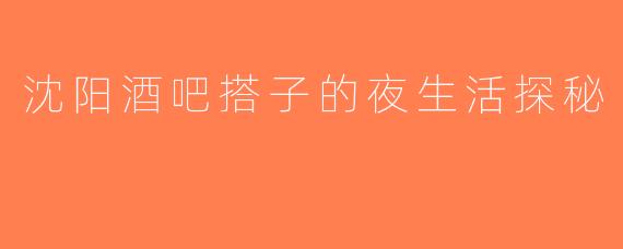 沈阳酒吧搭子的夜生活探秘