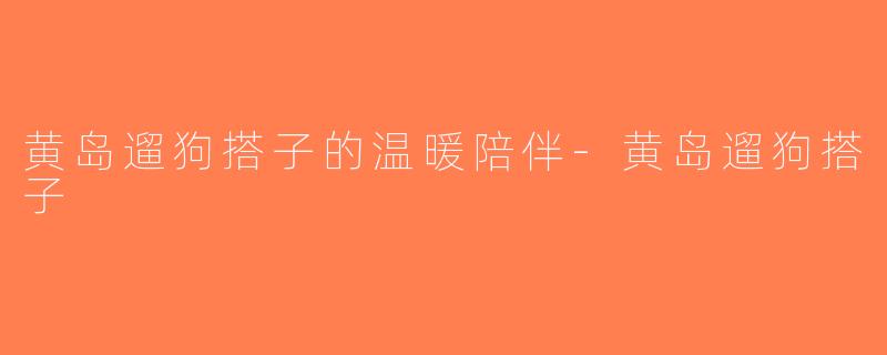 黄岛遛狗搭子的温暖陪伴-黄岛遛狗搭子
