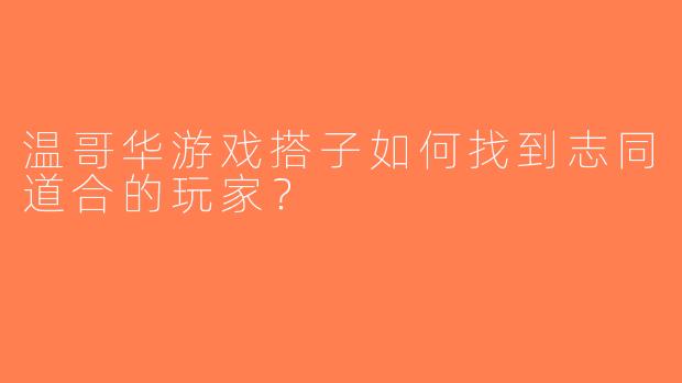 温哥华游戏搭子如何找到志同道合的玩家？