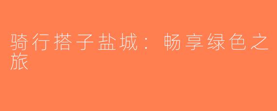 骑行搭子盐城：畅享绿色之旅