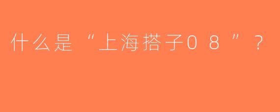 什么是“上海搭子08”？ 