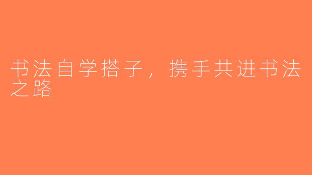 书法自学搭子，携手共进书法之路