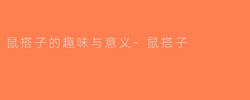 鼠搭子的趣味与意义-鼠搭子