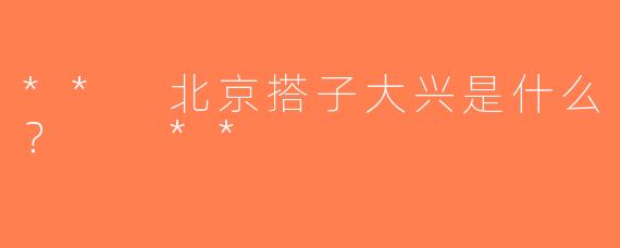 ** 北京搭子大兴是什么？  **