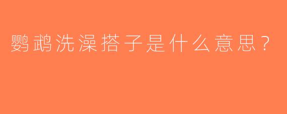鹦鹉洗澡搭子是什么意思？