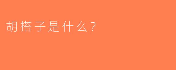 胡搭子是什么？