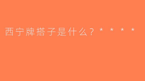 西宁牌搭子是什么？****