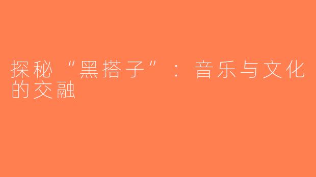 探秘“黑搭子”：音乐与文化的交融