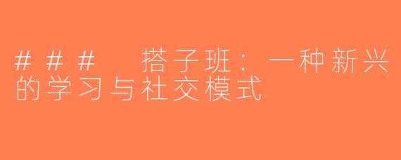 ### 搭子班：一种新兴的学习与社交模式