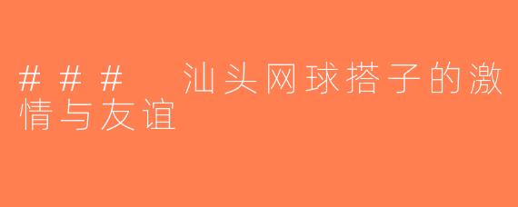 ### 汕头网球搭子的激情与友谊