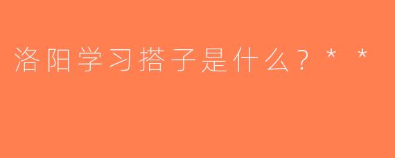 洛阳学习搭子是什么？**