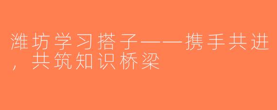 潍坊学习搭子——携手共进，共筑知识桥梁