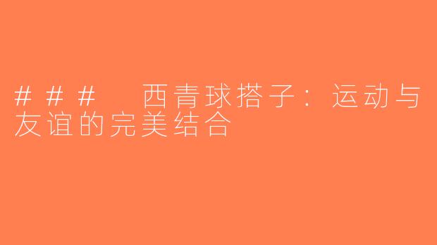 ### 西青球搭子：运动与友谊的完美结合