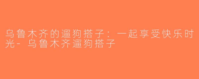 乌鲁木齐的遛狗搭子：一起享受快乐时光-乌鲁木齐遛狗搭子