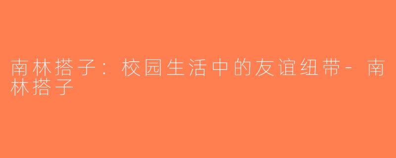 南林搭子：校园生活中的友谊纽带-南林搭子