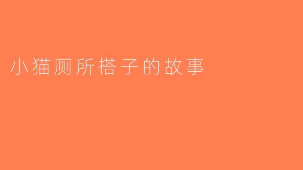 小猫厕所搭子的故事