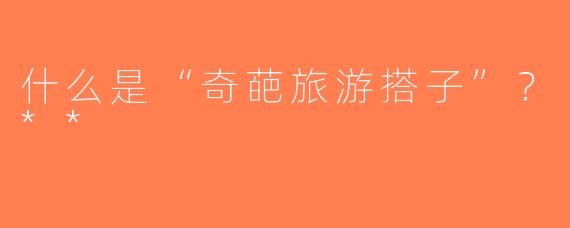 什么是“奇葩旅游搭子”？**