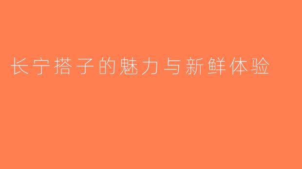 长宁搭子的魅力与新鲜体验