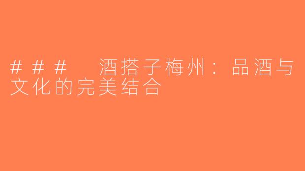 ### 酒搭子梅州：品酒与文化的完美结合