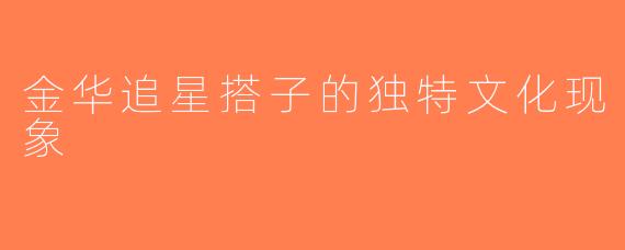 金华追星搭子的独特文化现象
