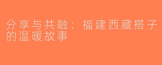 分享与共融：福建西藏搭子的温暖故事