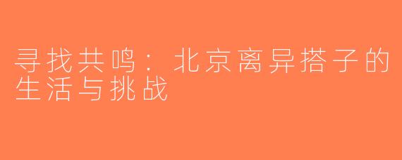 寻找共鸣：北京离异搭子的生活与挑战
