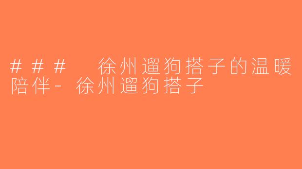 ### 徐州遛狗搭子的温暖陪伴-徐州遛狗搭子